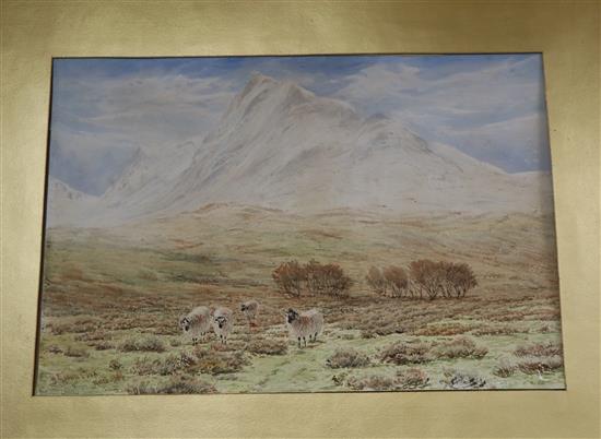 Herbert Moxon Cook (1844-1920), watercolour, Ben Nevis, from near Arrivain, Agryllshire, signed and dated